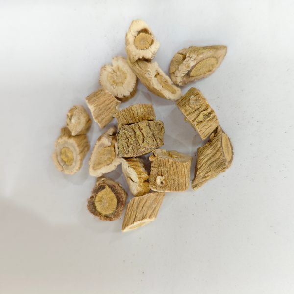 라딕스 이사티디스