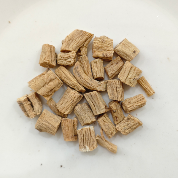 코도놉시스 필로술라