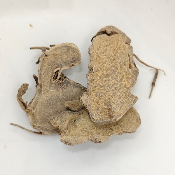 쿠르쿠마 에루지오노사