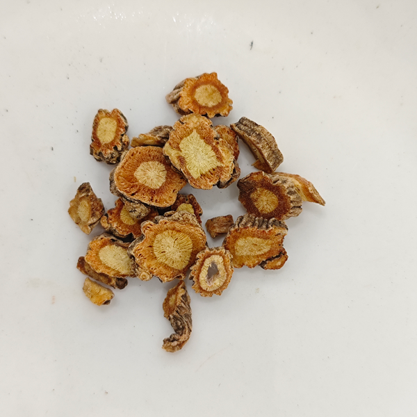 사포시니코비아 디바리카타