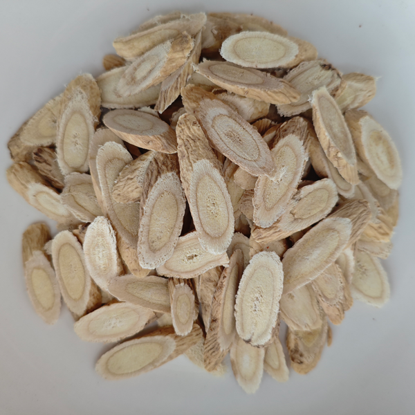 Astragalus membranaceust (TCM에서 사용)