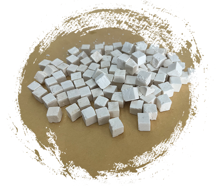 Wolfiporia extensa (목재 부패균)