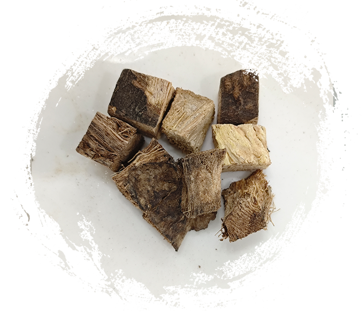 푸에라리아 로바타