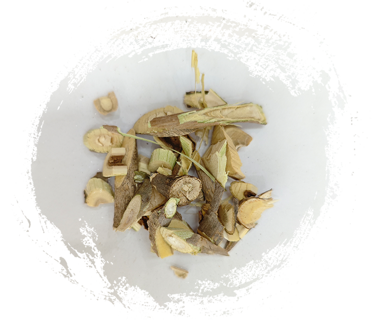 매니프리클(Acanthopanax senticosus)