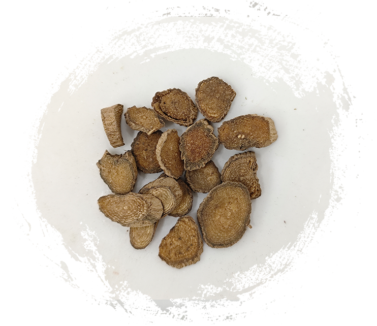 추안 아키란테스