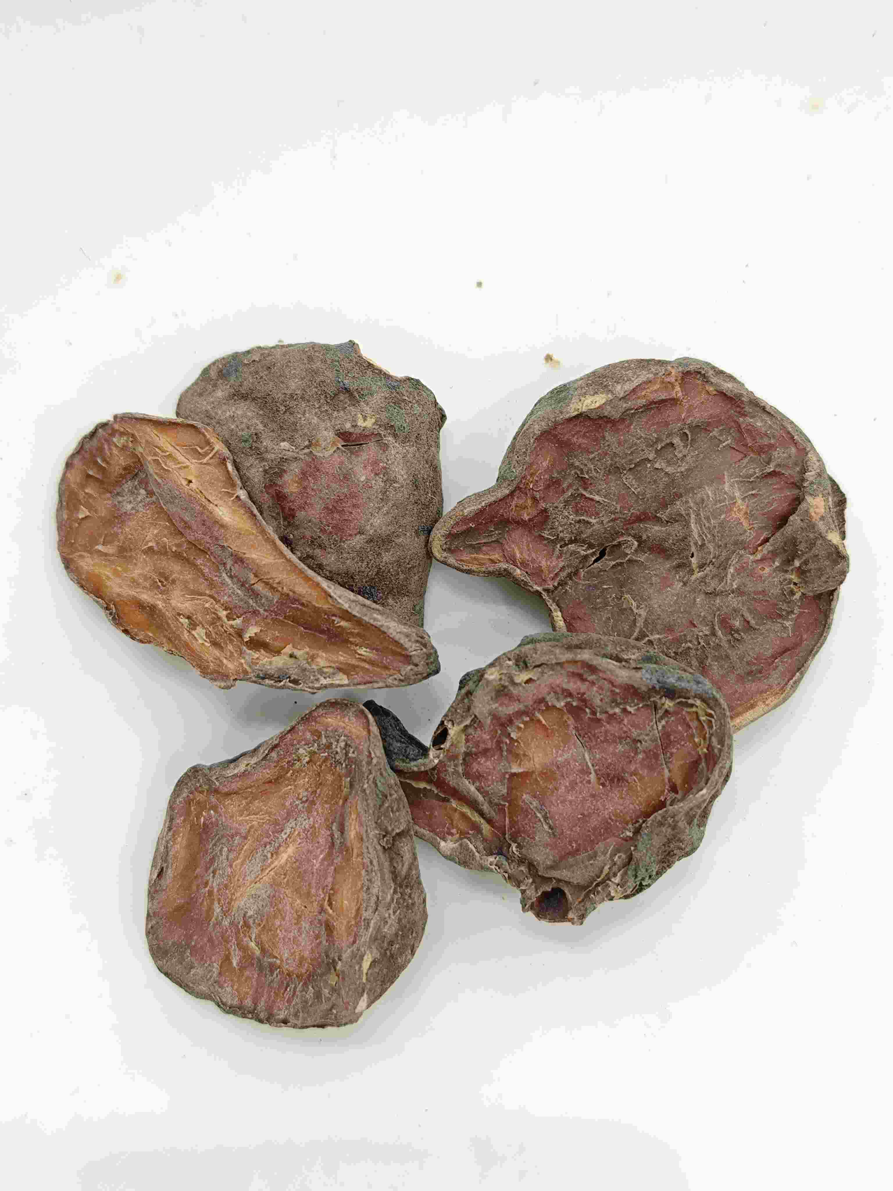 준비된 아코 나이트 슬라이스, Paofupian