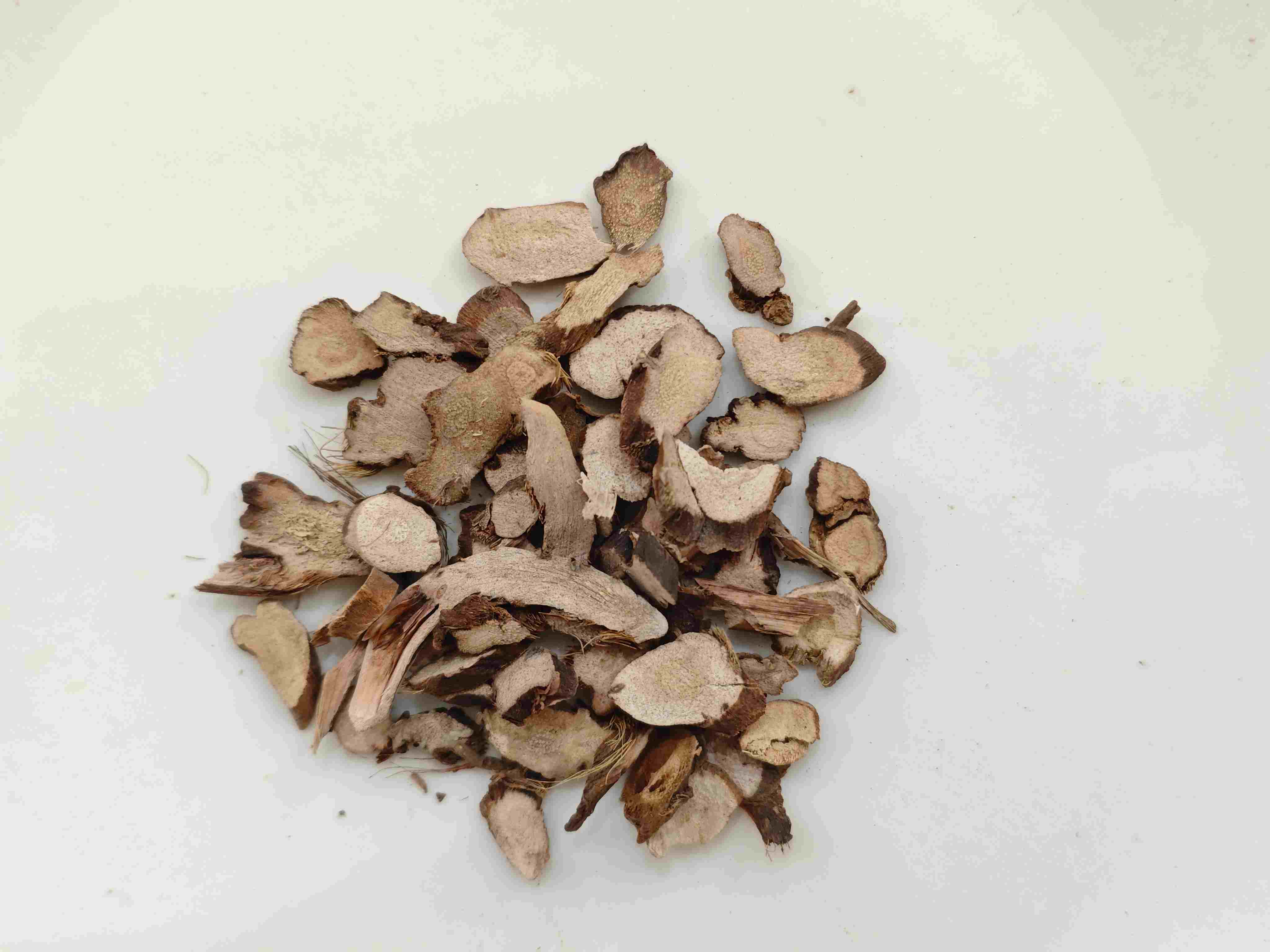 오징어 뿌리 줄기 (Shichangpu)