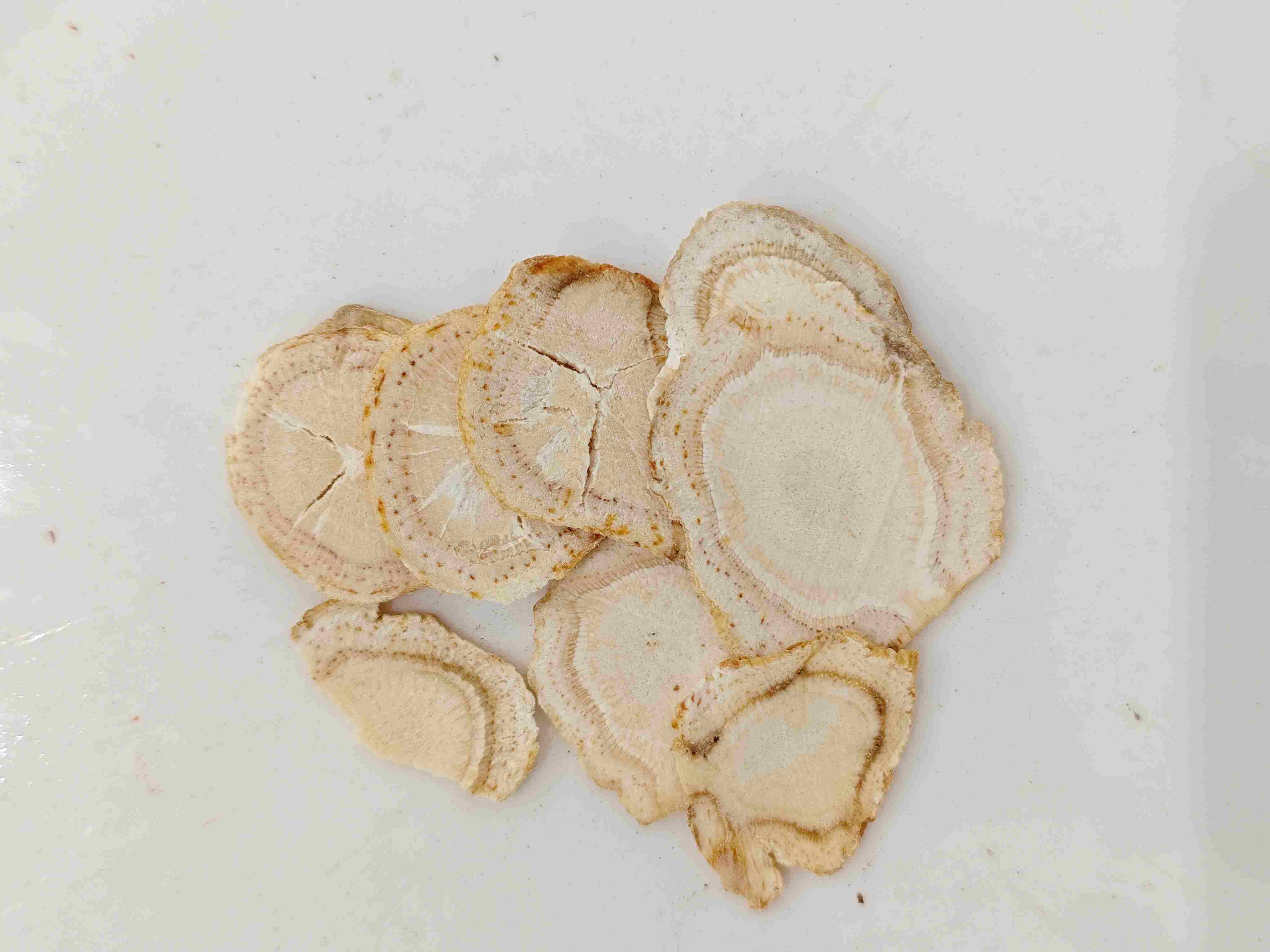 아메리칸 인삼 (Xiyangshen)