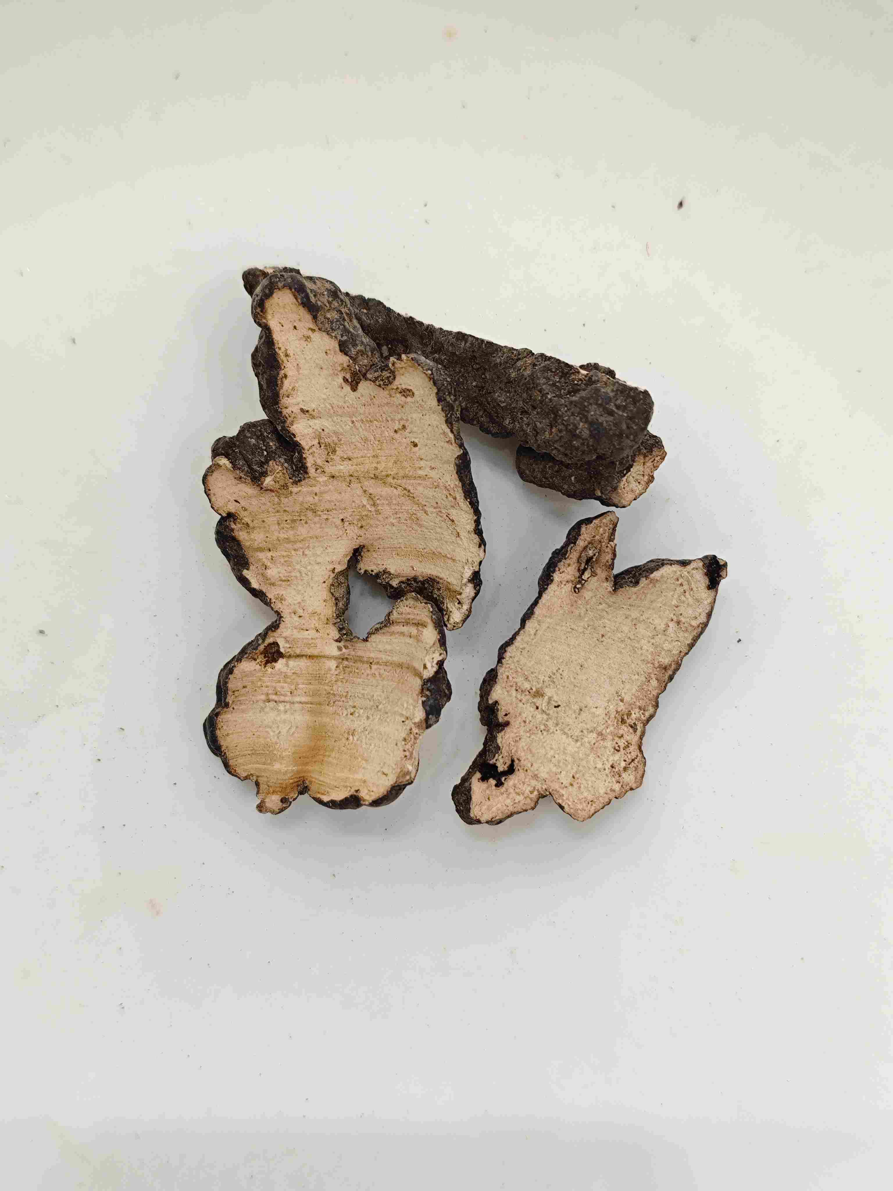 돼지 polyporus (Zhuling)