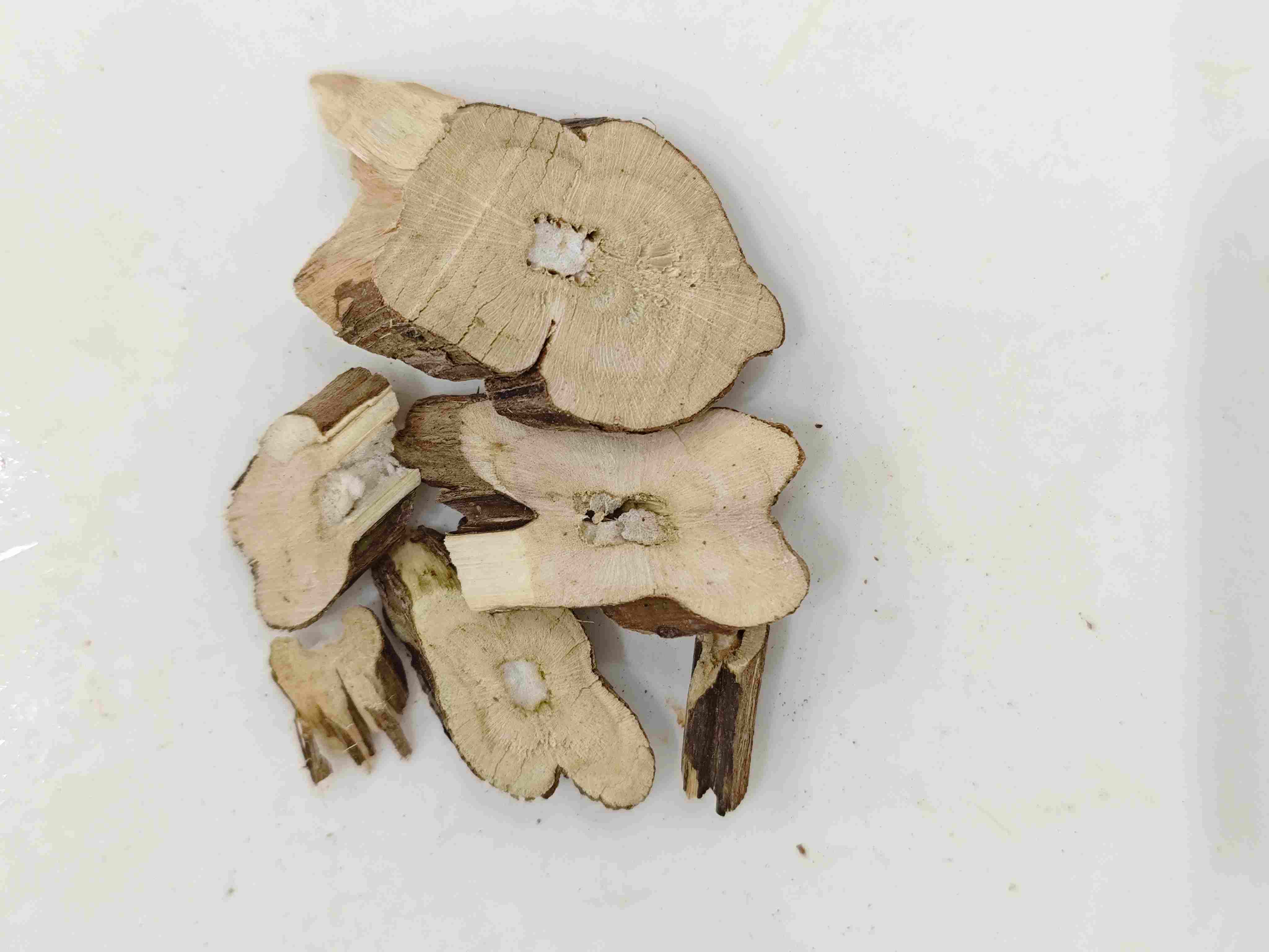 Perilla stem (Zisugeng)