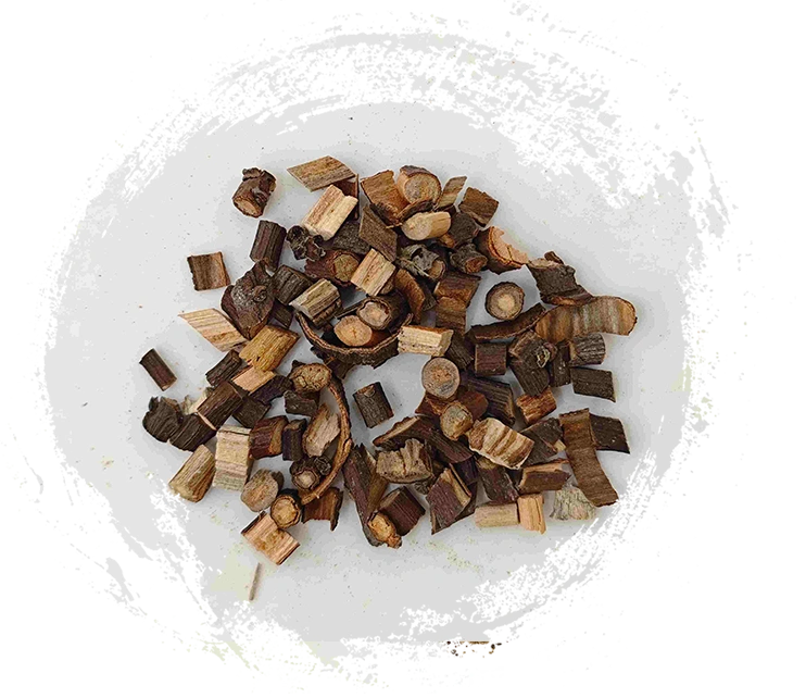 계피 나뭇 가지