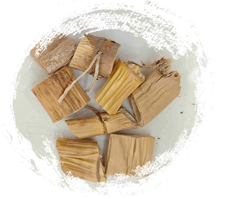 리드 뿌리 줄기, 루겐