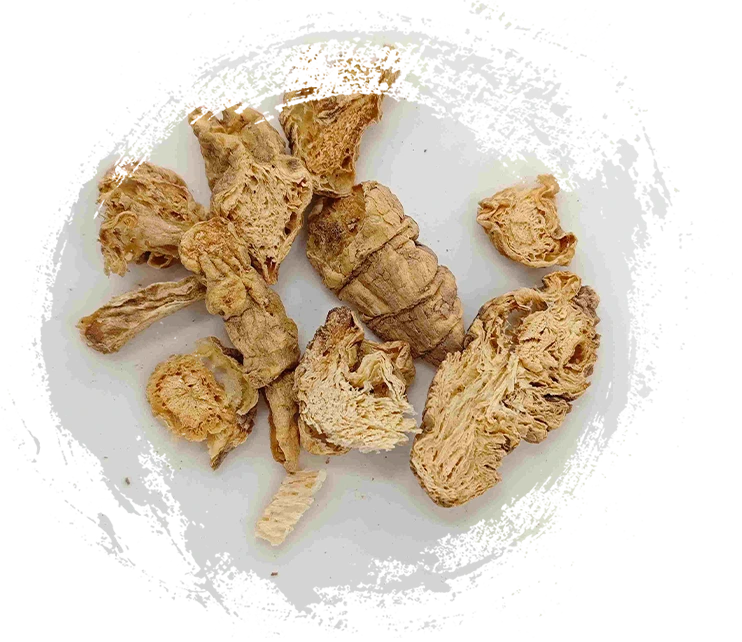 남부 코도노스, Nan Sha Shen