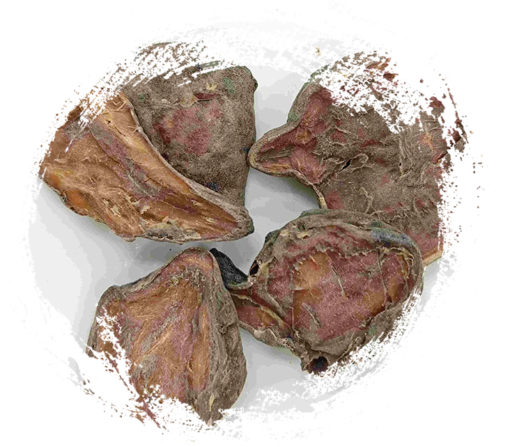 준비된 아코 나이트 슬라이스, Paofupian