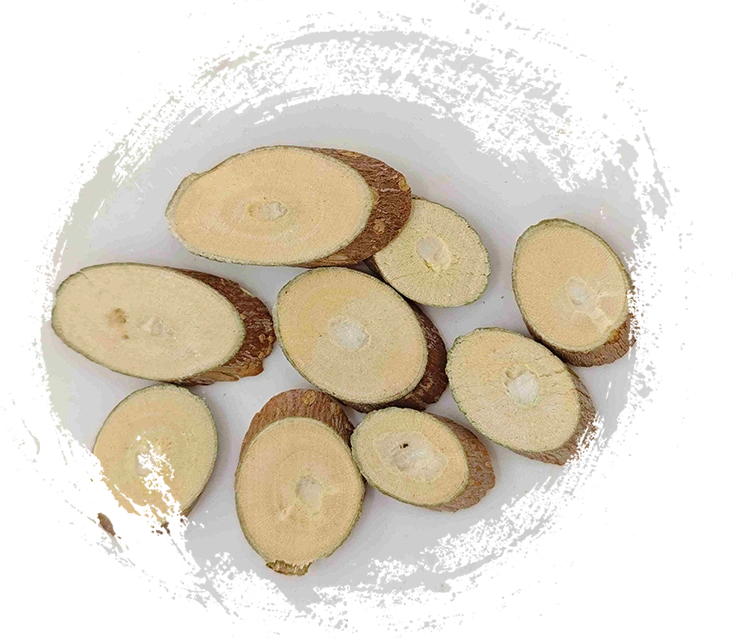 뽕나무 지점 (Sangzhi)