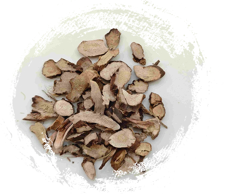 오징어 뿌리 줄기 (Shichangpu)