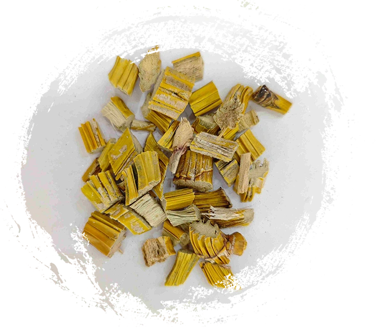 Dendrobium stem (Shihu)