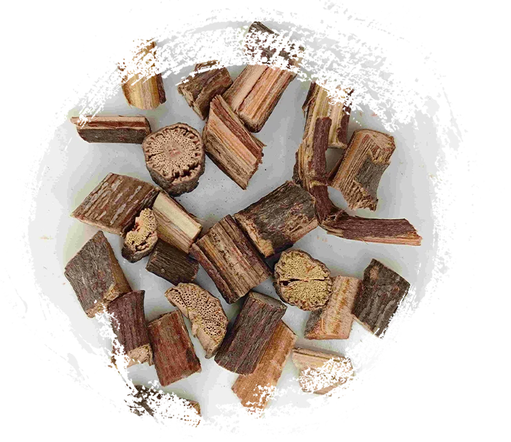 Polygonum multiflorum stem (shouwuteng)