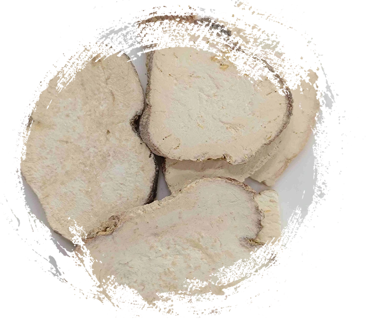 Trichosanthes 뿌리 (Tianhuafen)