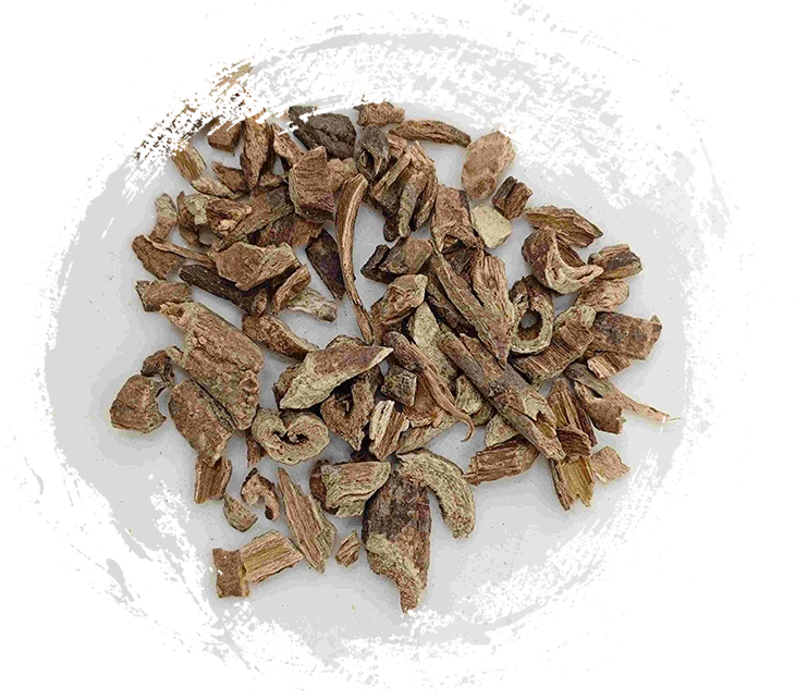 Acanthopanax Bark (Wujiapi)
