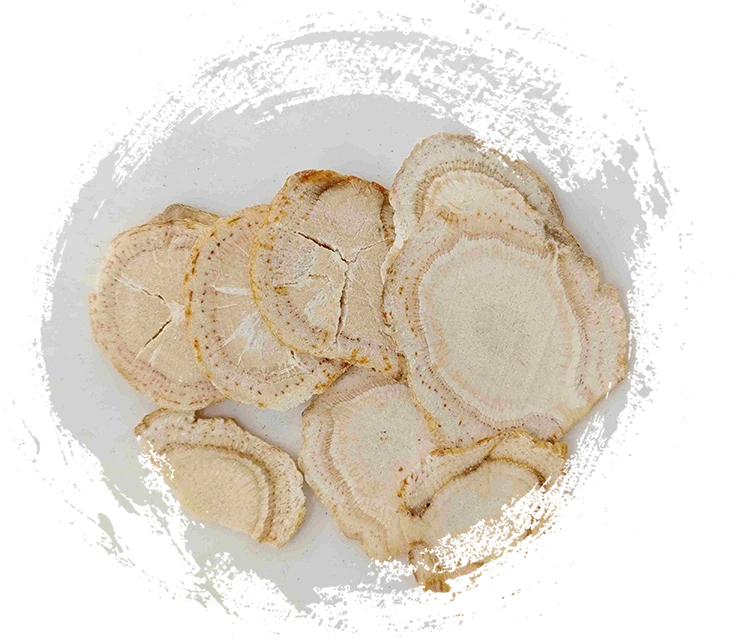 식물을 활용한 전통 중의학의 힘 탐구 TCM