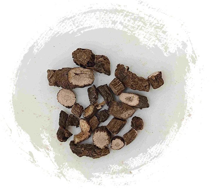 Curculigo rhizome (Xianmao)