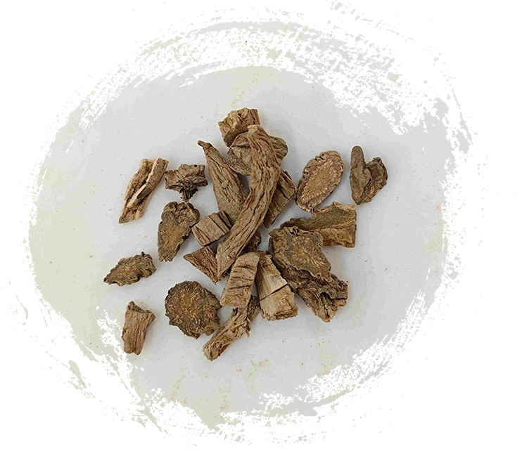 Drynaria rhizome (xuduan)