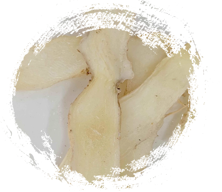 솔로몬의 물개 (Yuzhu)