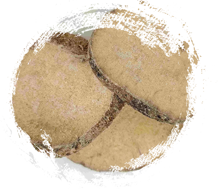 Alismatis rhizoma (Zexie)