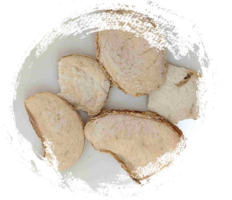 Zhejiang Fritillary Bulb (Zhebeimu)