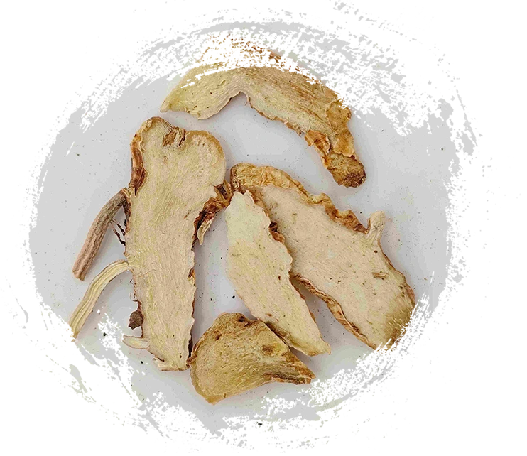 ANEMARRHENA RHIZOME (Zhimu)