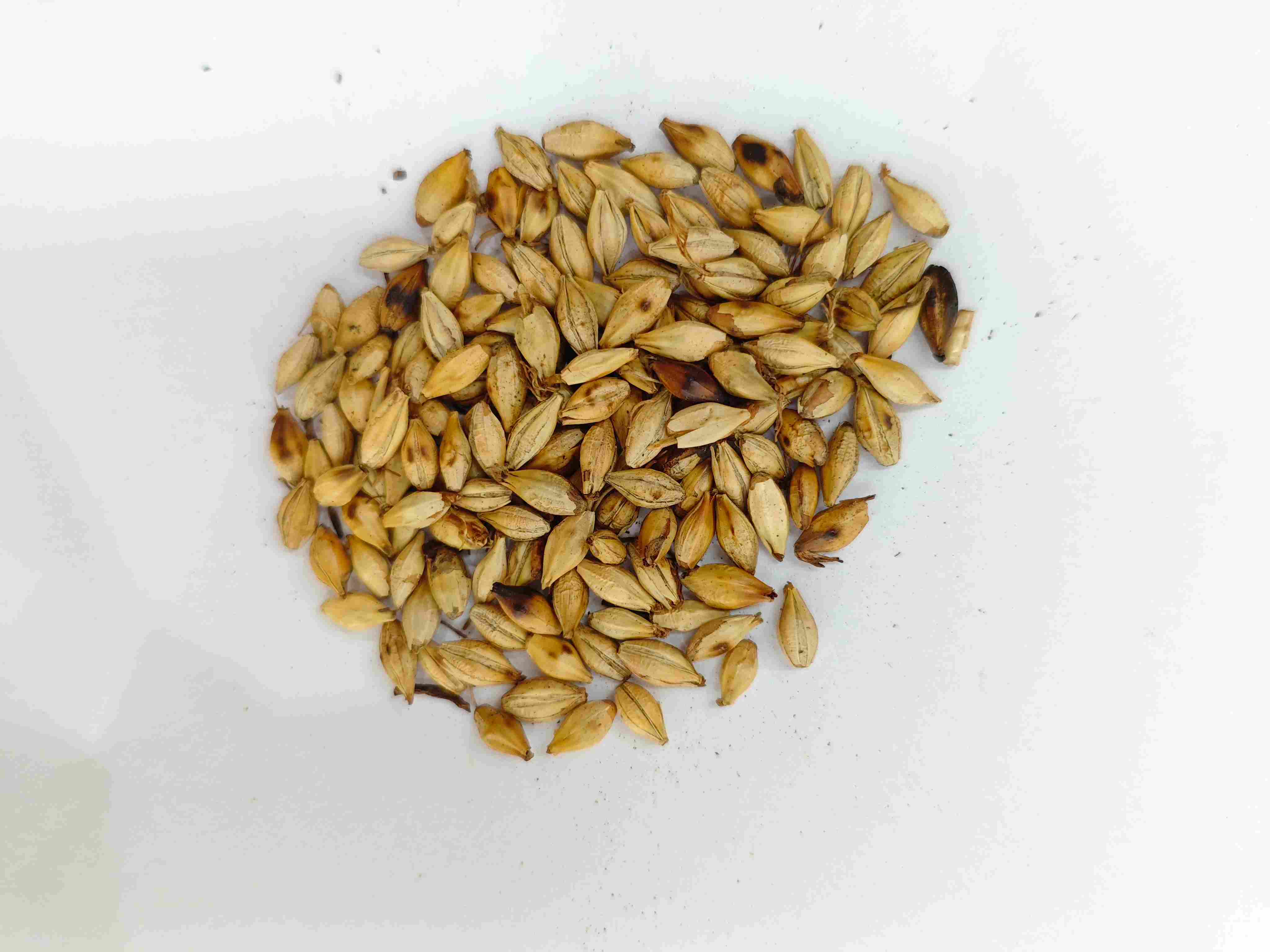 구운 보리 맥아 (chǎo mài yá)