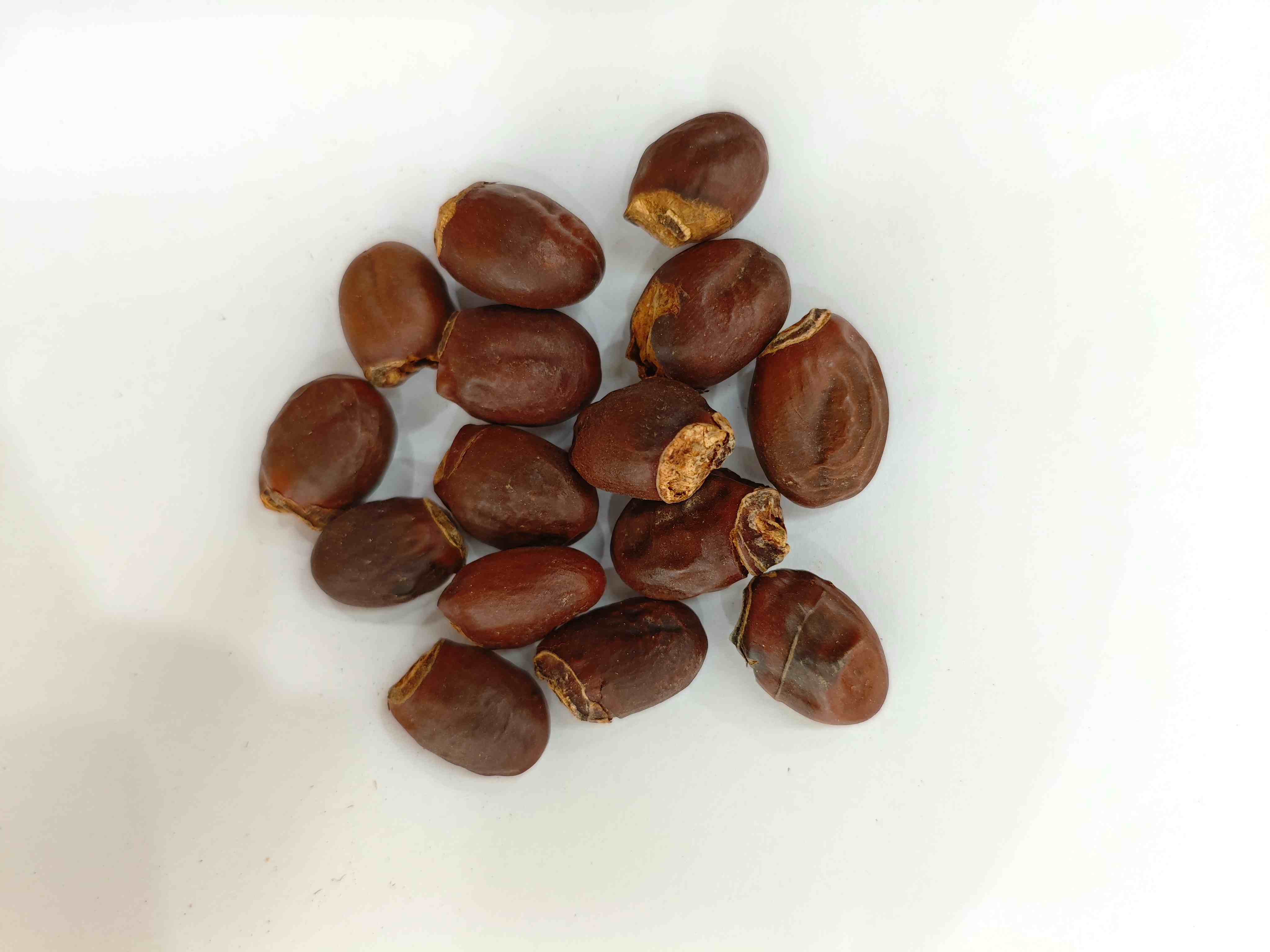 Lychee Seed (l&igrave;zhī h&eacute;)