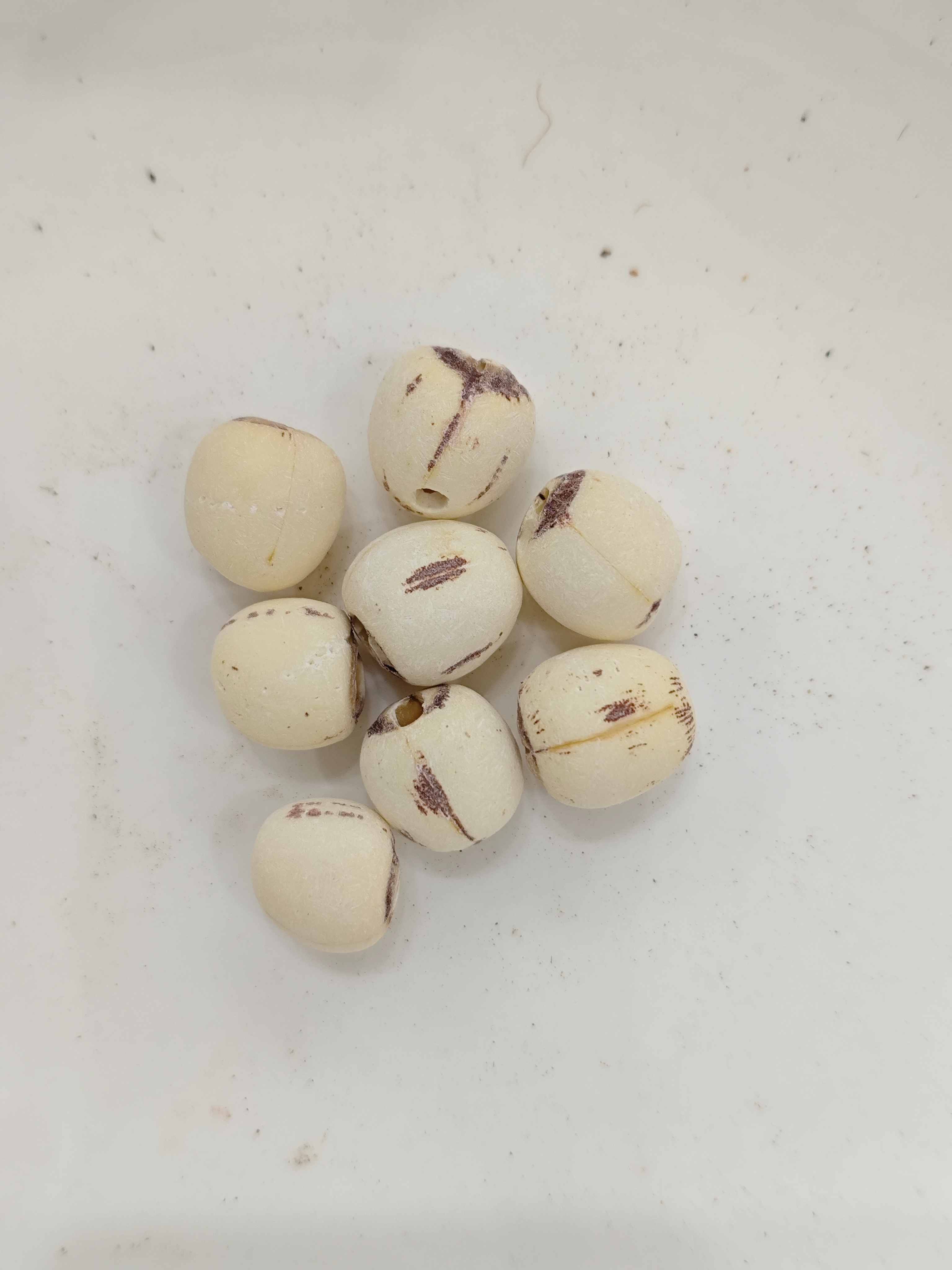 연꽃 씨앗 (liánzǐ)