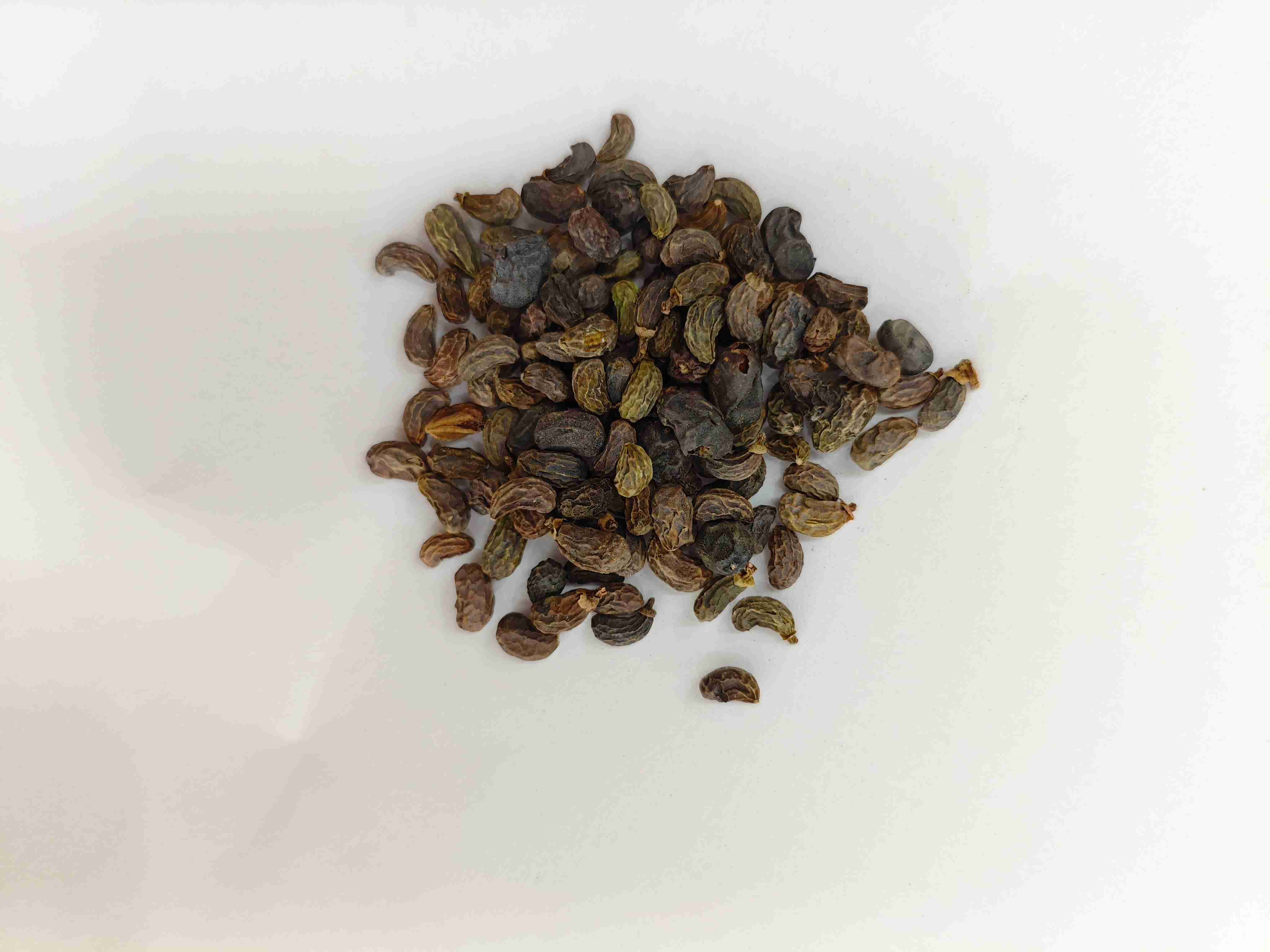 Ligustrum Fruit (numzhēnzǐ)