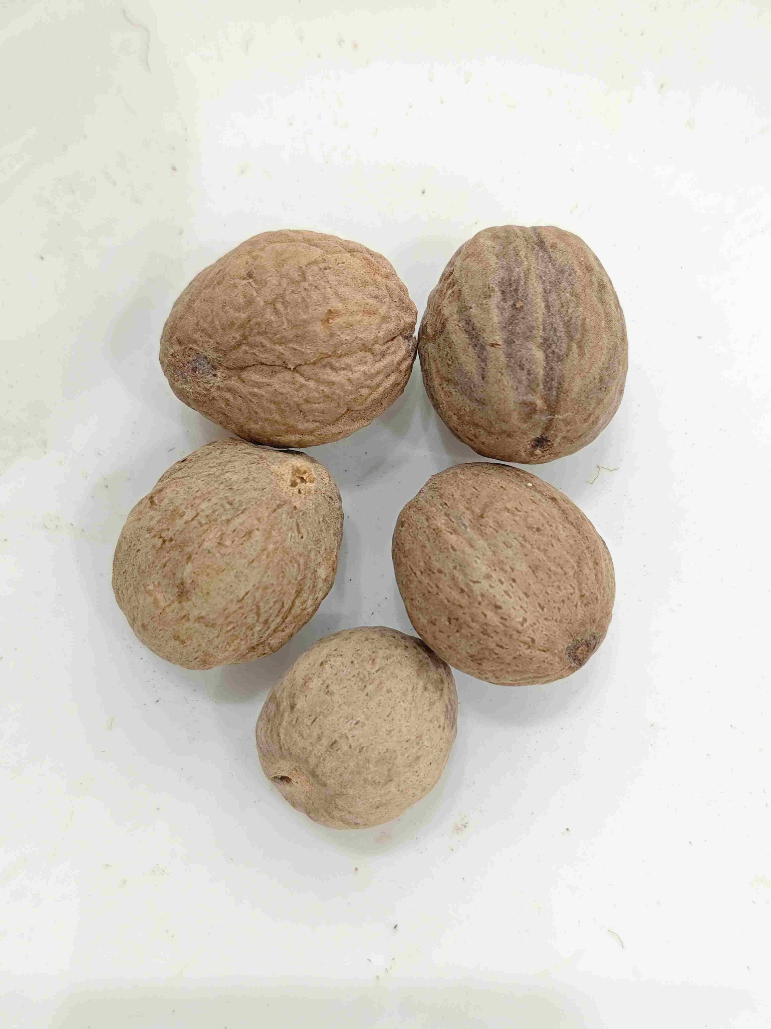 Nutmeg (R&ograve;ud&ograve;uk&ograve;u)