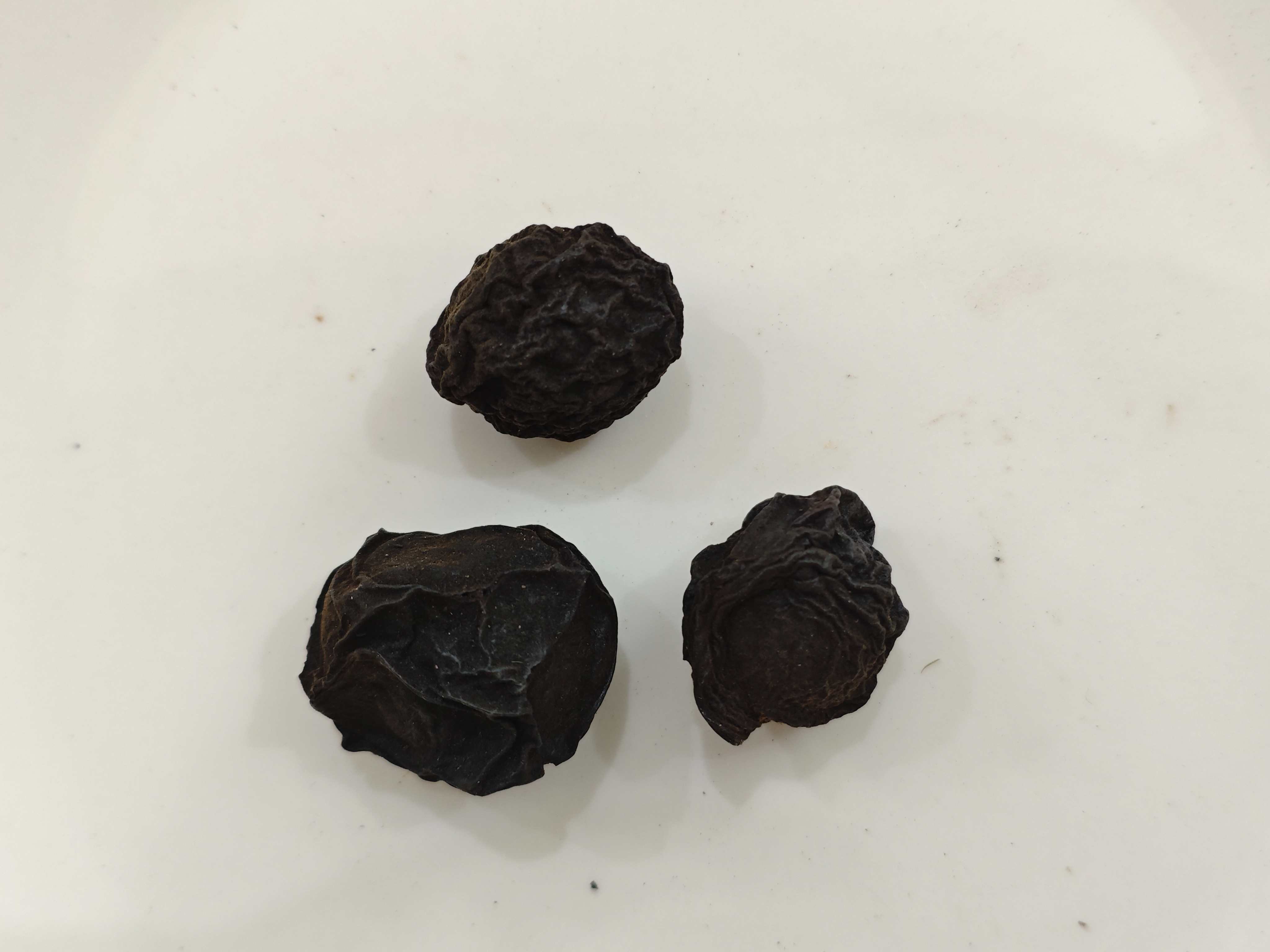 중국 자두 (우 메이)