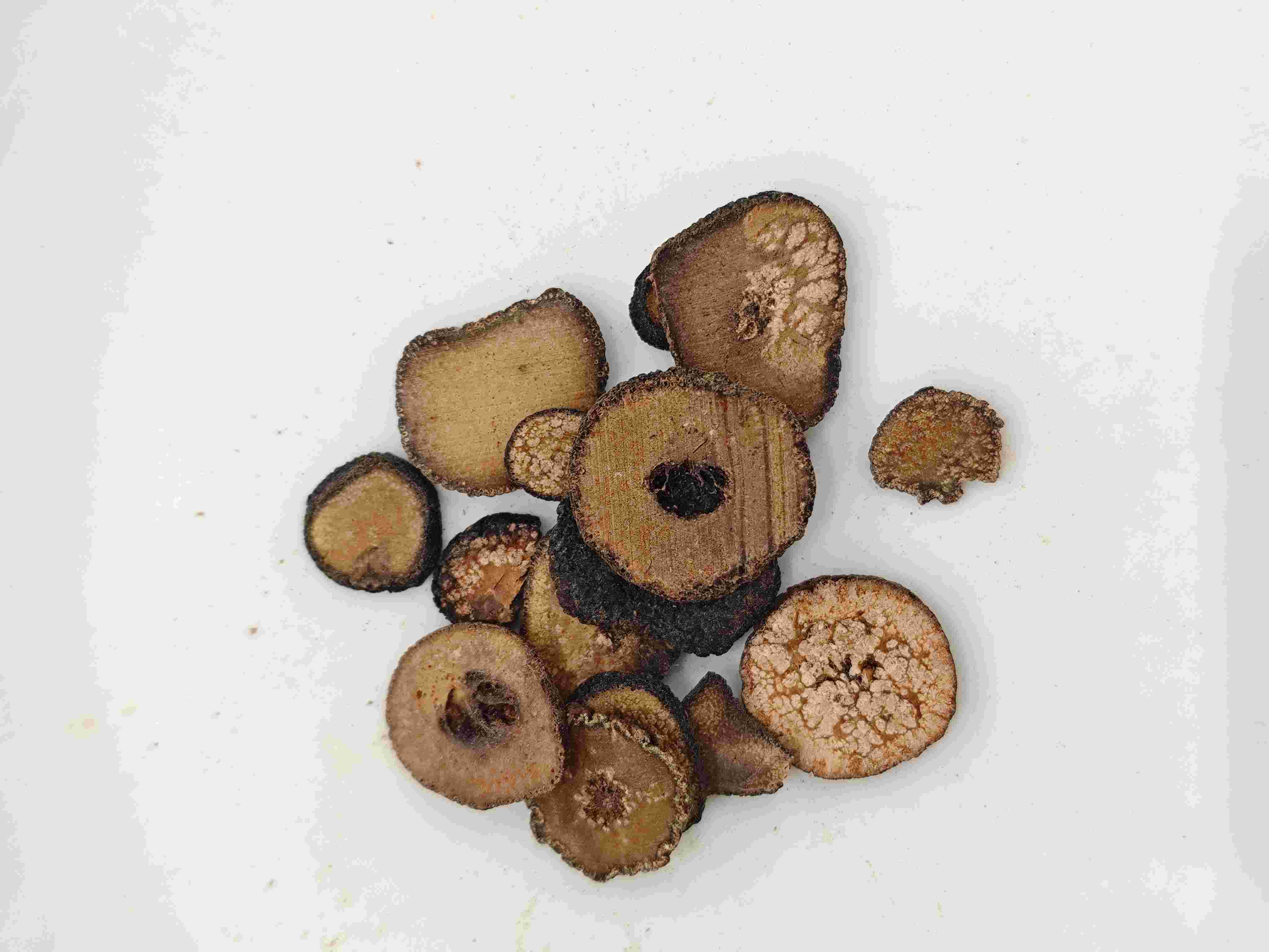 미숙 한 쓴 오렌지 (Zhǐshí)