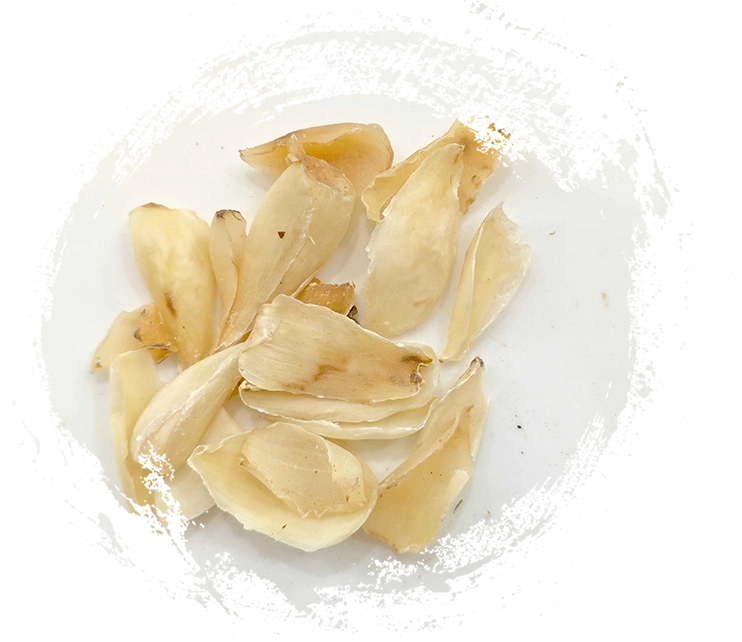 릴리 전구 (Baihe)