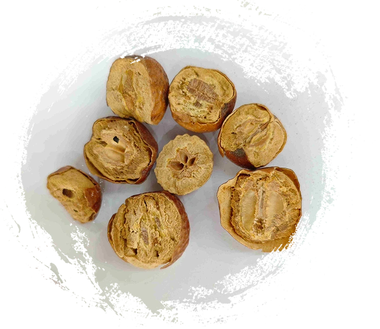 Toosendan Fruit (Chuān Lián Zǐ)