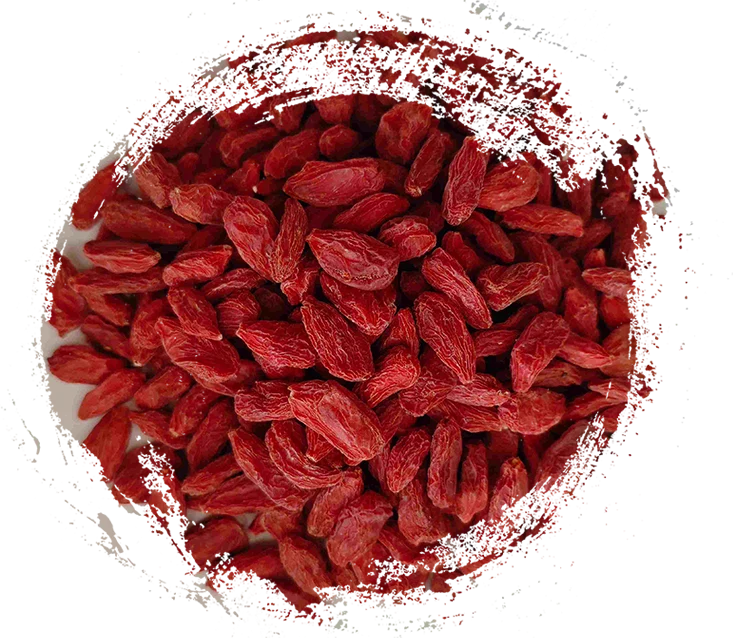 최고의 중국 약초와 그 기능: 일상 건강을 위한 자연 솔루션