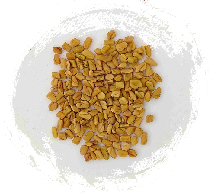 Trigonella (húlúbā)