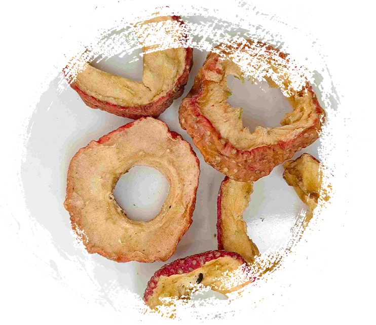 한약 전통의 약초 식물의 기능 이해