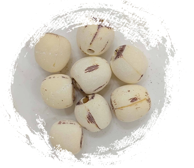 연꽃 씨앗 (liánzǐ)