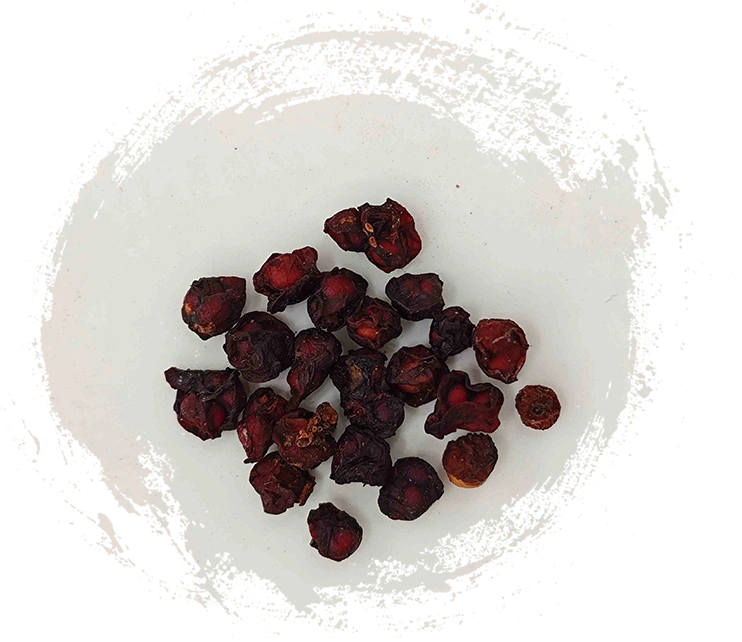 Schisandra Fruit (wrawèizǐ) :