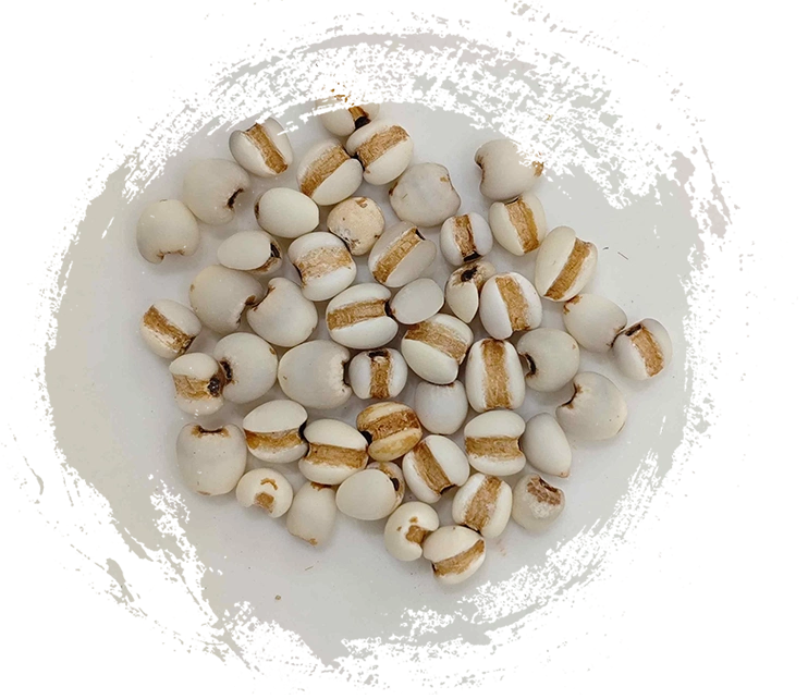 Coix Seed (yìy (rén)