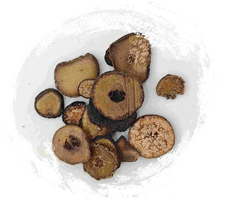 미숙 한 쓴 오렌지 (Zhǐshí)