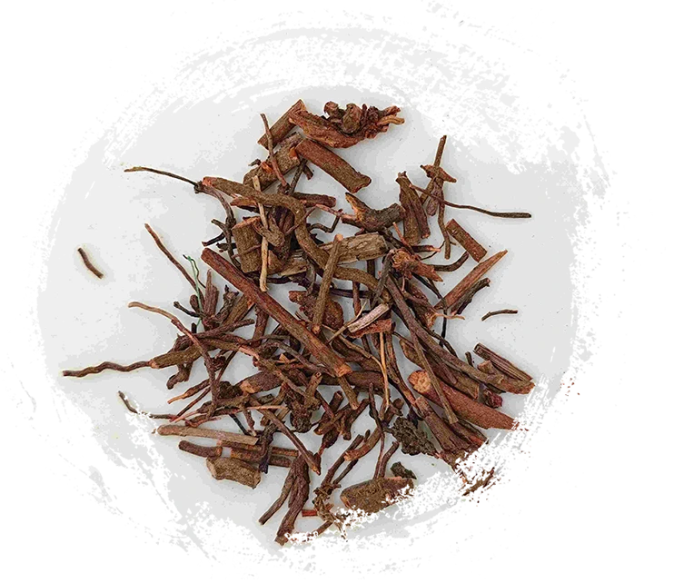 루비아 루트 (qiàncǎo)