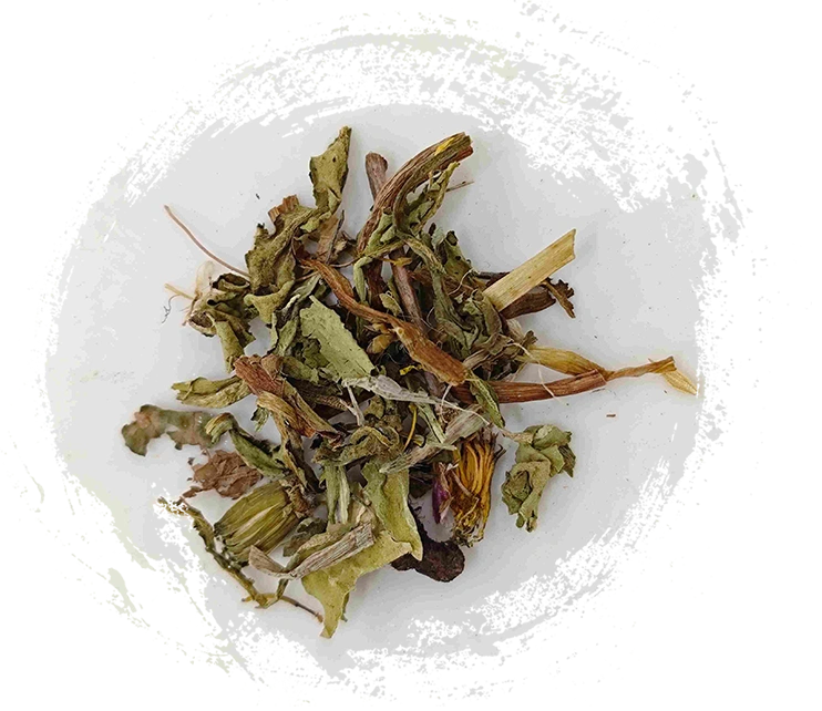 민들레 (púgōngyīng)