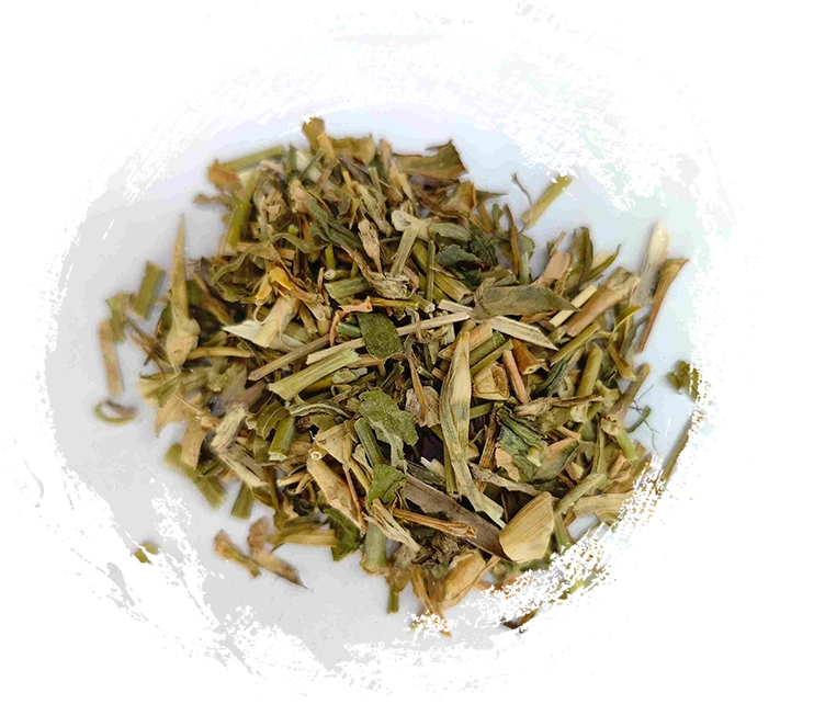 중국 벨 플라워 (Qúmài)